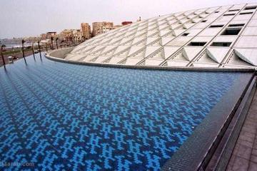 Private Full Day City Tour of Alexandria