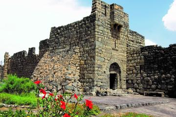 Private Full Day Tour Desert Castle from Dead Sea