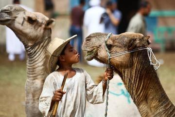Private Guided Day Trip to Giza Pyramids and Saqqara including 1-Hour Sunrise Camel or Horse Ride and Egyptian Breakfast