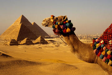 Private Guided Tour to Giza Pyramids and Cooking Class with Local Family in Cairo