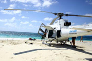 Private Helicopter Tour: Great Barrier Reef Island Snorkeling and Gourmet Picnic Lunch