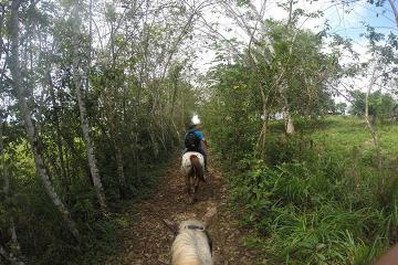 Private Kiskadee Trail: Horse Riding Tour of the Countryside Private Kiskadee Trail: Horse Riding Tour of the Countryside