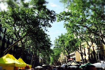 Private Las Ramblas Walking Tour and Iberian Ham Experience in Barcelona