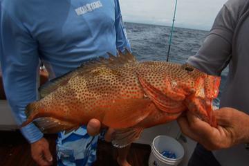Private Light Tackle Fishing Charter from Nassau