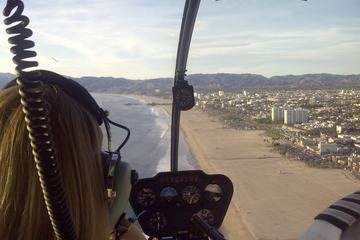 Private Los Angeles Helicopter Tour with Downtown Landing