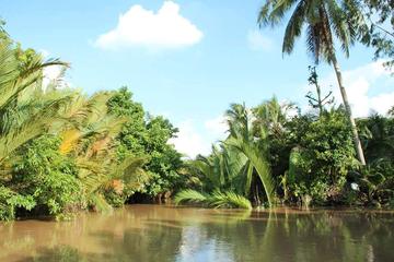 Private Mekong Delta Tour Including Ben Tre
