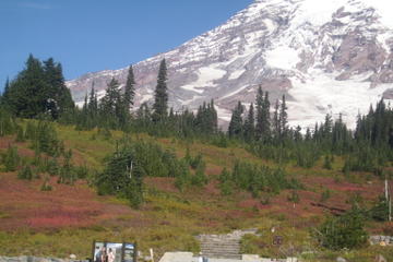 Private Mount Rainier Tour from Seattle