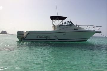 Private Nassau Historic Harbor Cruise Plus Beach Visit