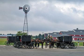 Private New York Day Trip to Amish Country