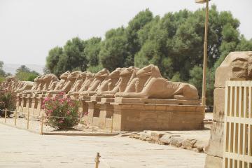 Private Overnight Tour from Safaga to Luxor