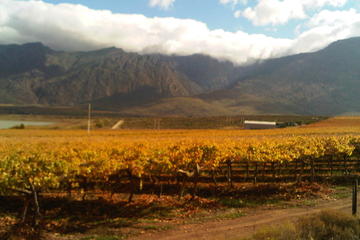 Private Shore Excursion: Cape Winelands Tour from Cape Town