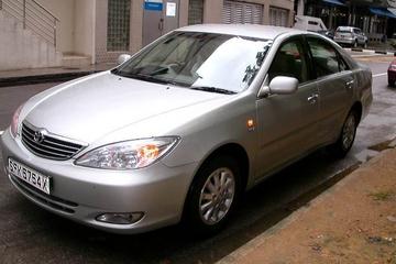 Private Singapore Transfer: Changi Airport to Singapore Cruise Centre or Tanah Merah Ferry Terminal