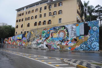 Private Street Art Tour of São Paulo