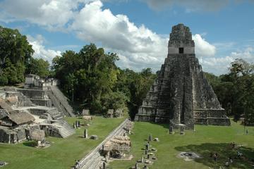 Private Tikal Maya City Tour Including Lunch Private Tikal Maya City Tour Including Lunch