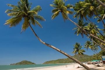 Private Tour: 5-Day Goa and Mumbai from Delhi