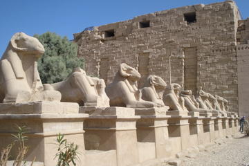 Private Tour: 8 Days Cairo Tour - Upper Egypt and The Red Sea Resort