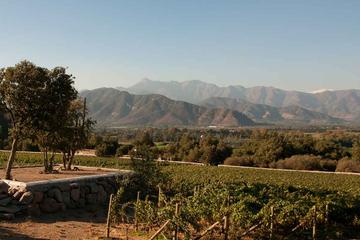 Private Tour: Aconcagua Valley Day Trip from Valparaiso Including Lunch