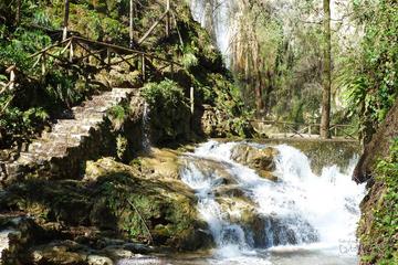 Private Tour: Amalfi 'Valle delle Ferriere' Natural Reserve Walking Tuor