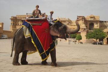 Private Tour: Amber Fort and Jal Mahal Including Elephant Ride