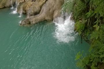 Private Tour: Blue Hole and Fern Gully Rainforest Adventure from Kingston