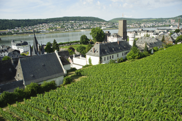 Private Tour: Customizable Rhine Valley Day Trip from Frankfurt