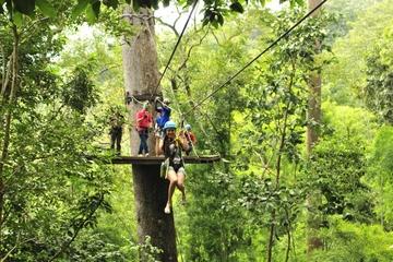 Private Tour: Cycling and Zipline Adventure from Chiang Mai