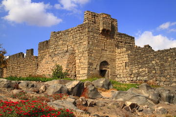 Private Tour: Desert Castle Tour of Eastern Jordan from Amman