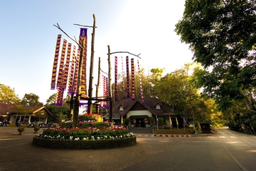 Private Tour: Doi Tung, Golden Triangle and Mekong River from Chiang Rai