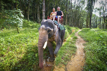 Private Tour: Elephant Adventure, Hilltribes and Mae Kok River Trip from Chiang Rai