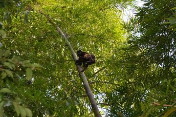 Private Tour: Fishermen and Pacoche Humid Forest Walking Tour