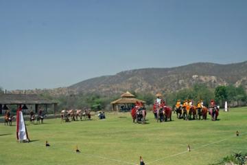 Private Tour: Half-Day Tour of Dera Amer Elephant Safari with Lunch in Jaipur