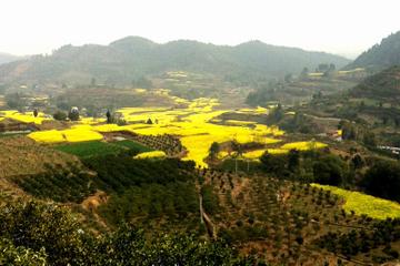 Private Tour: Huanglongxi Ancient Town and Countryside Trekking from Chengdu