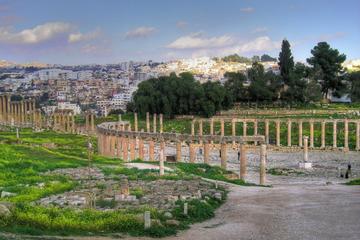 Private Tour: Jerash Half Day Tour from Dead Sea