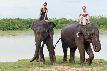Private Tour: Jungle Adventure from Goa Including Elephant Ride, Lunch and Dinner