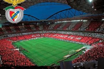 Private Tour: Lisbon Football Experience