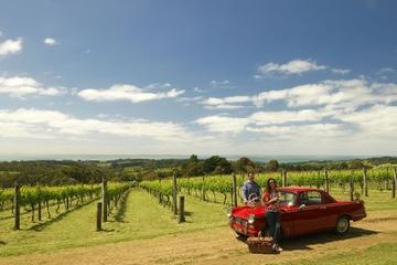 Private Tour: Mornington Peninsula Behind-the-Scenes Gourmet Food and Wine Tasting Experience