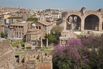 Private Tour: Palatine Hill in Rome Including Domus Augustana