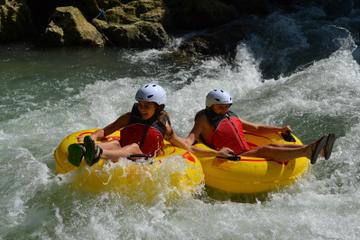 Private Tour: Rio Bueno River Rafting and Rocklands Bird Sanctuary in Jamaica