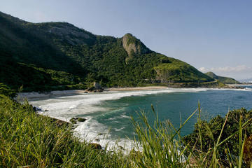 Private Tour: South Shore Paradise Beaches - Forest - Lanscape