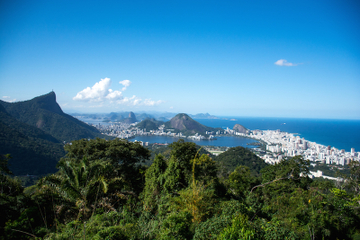 Private Tour: Tijuca National Park Photography Tour