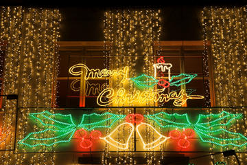Private Tour: Traditional Black Cab Tour of London's Christmas Lights