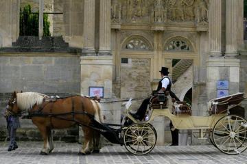 Private Tour: Versailles Horse and Carriage Ride