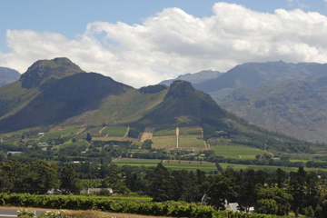 Private Tour: Western Cape and Swartland Wine Route Day Trip from Cape Town Including Riebeek Kasteel