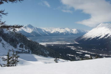 Private Tour: Whittier Cruise Transfer and Tour