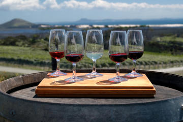 Private Tour: Wine Tasting in Bologna