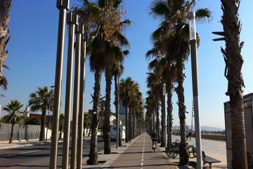 Private Tour with Electric Bike: Barcelona Highlights