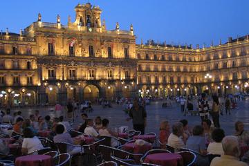 Private Transfer: Madrid to Salamanca
