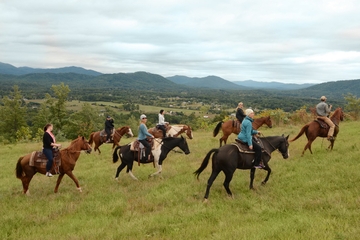 Private Vineyard Tour on Horseback with VIP Wine Tasting