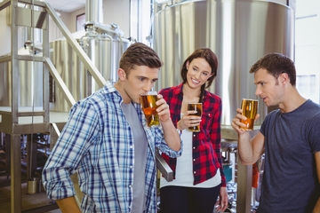 Private Virginia Craft Beer Tour