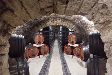 Private Wine Tasting Tour at Urlateanu Manor from Bucharest